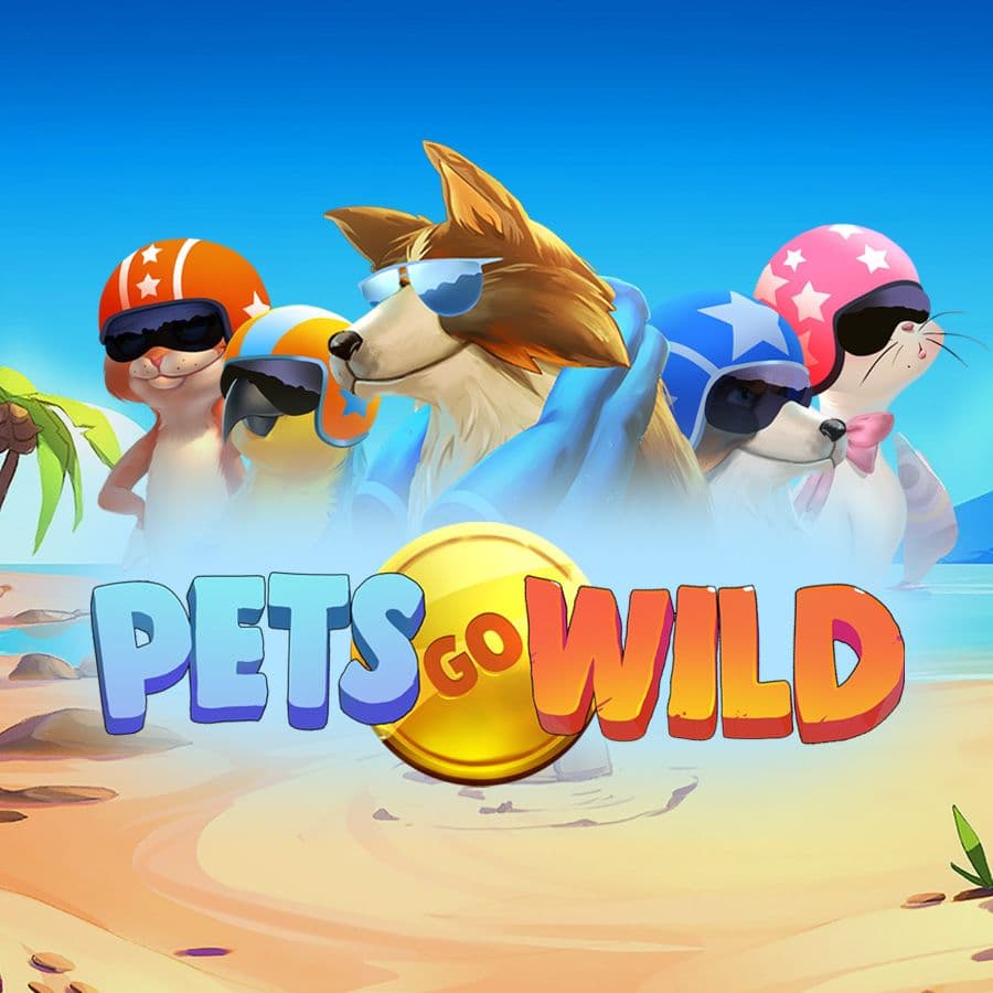 Pets Go Wild