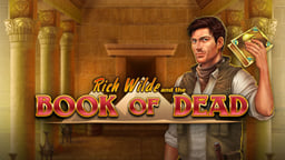 Pilt mängust Book of Dead – üks paljudest slottide demoversioonidest Pafis.